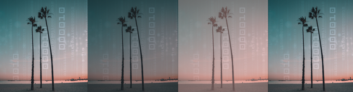 Palm Trees with sunset