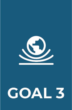 Goal 3 Sustainability and Resilience